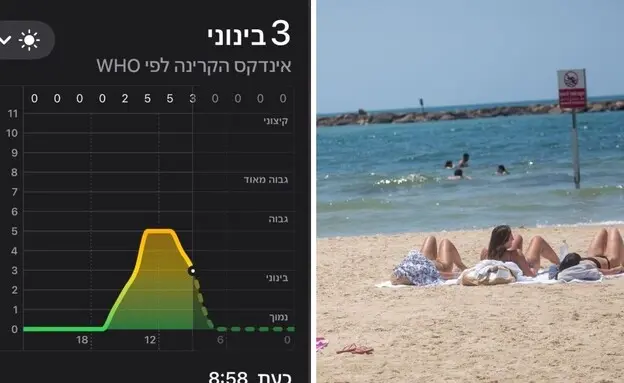 מדד אינדקס