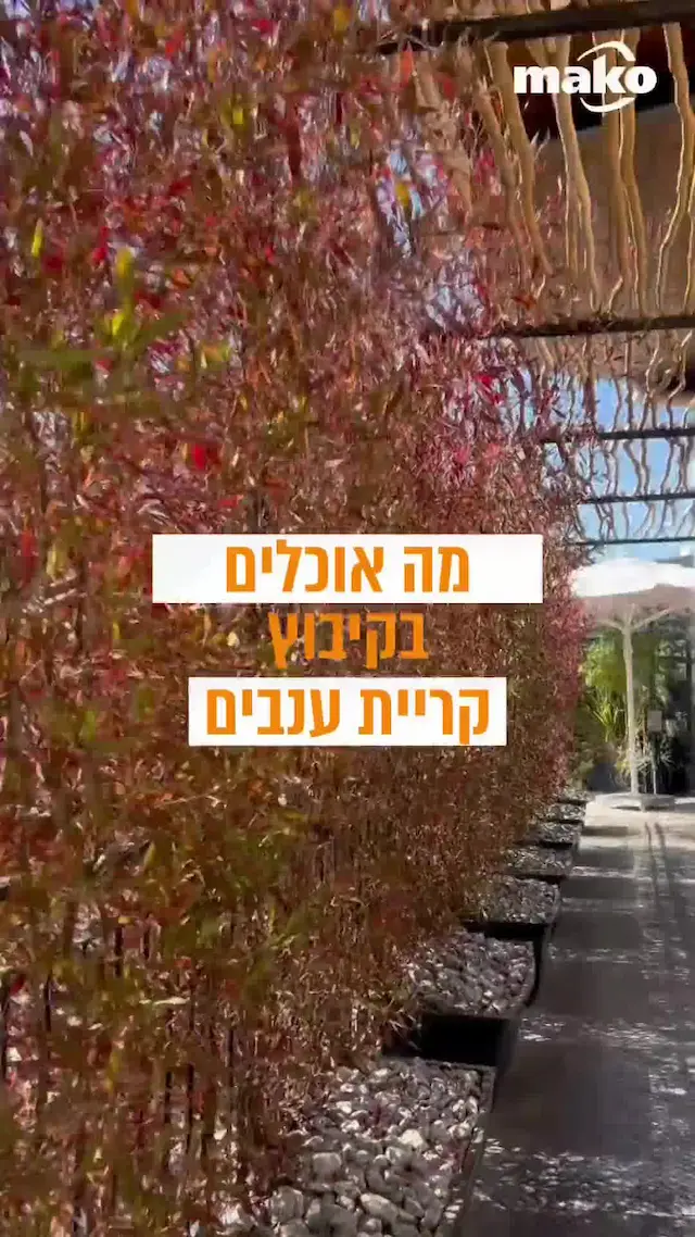 קיבוץ אחד, 6 מקומות מעולים